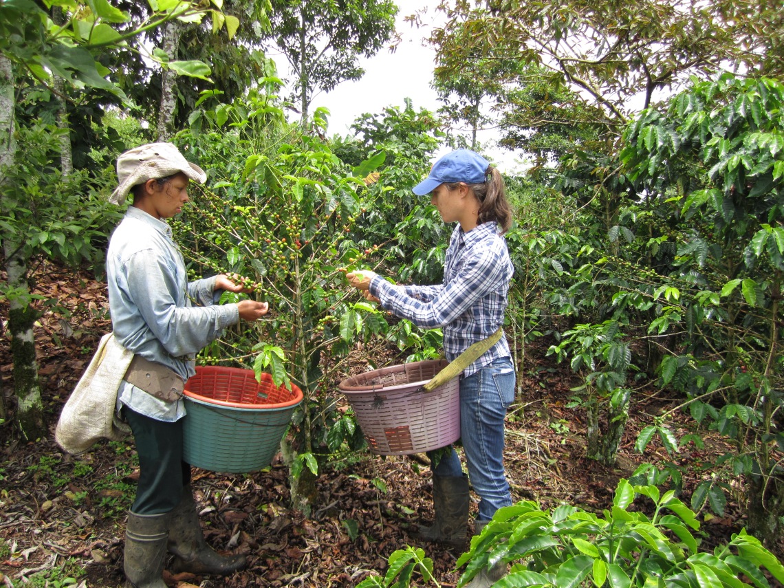 My first time picking coffee. Turrialba, Costa Rica with Sonia on her family's farm.